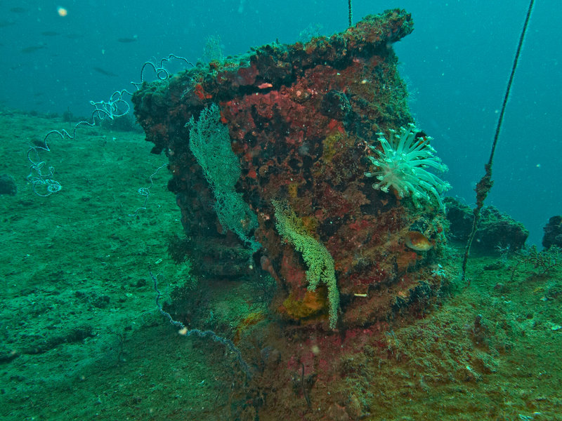 Wreck, LST